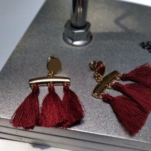 NWOT | $15 | Gold Hoop Fringe Earrings